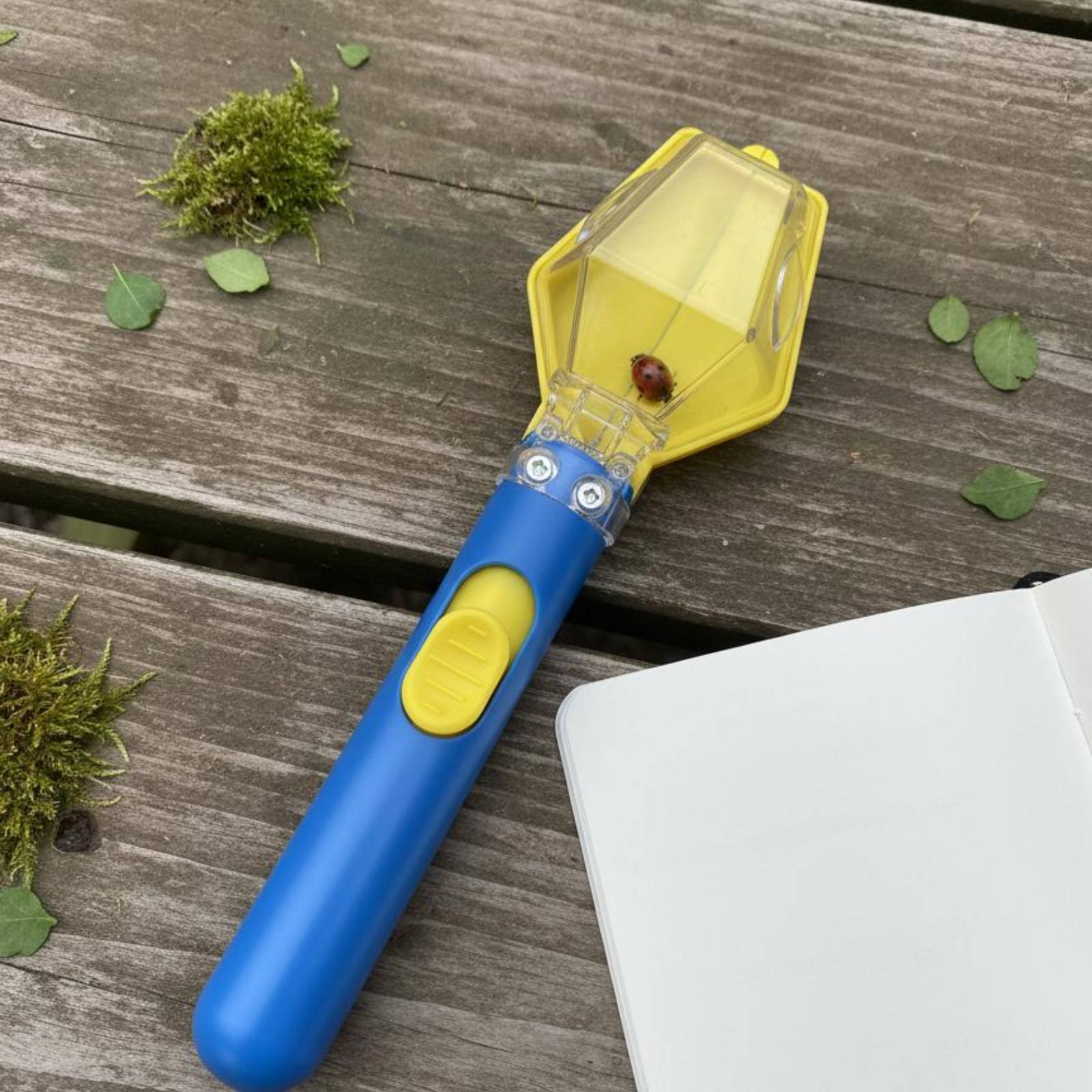 Bug Catcher Viewer Interactive – обзор и цена Science Toys