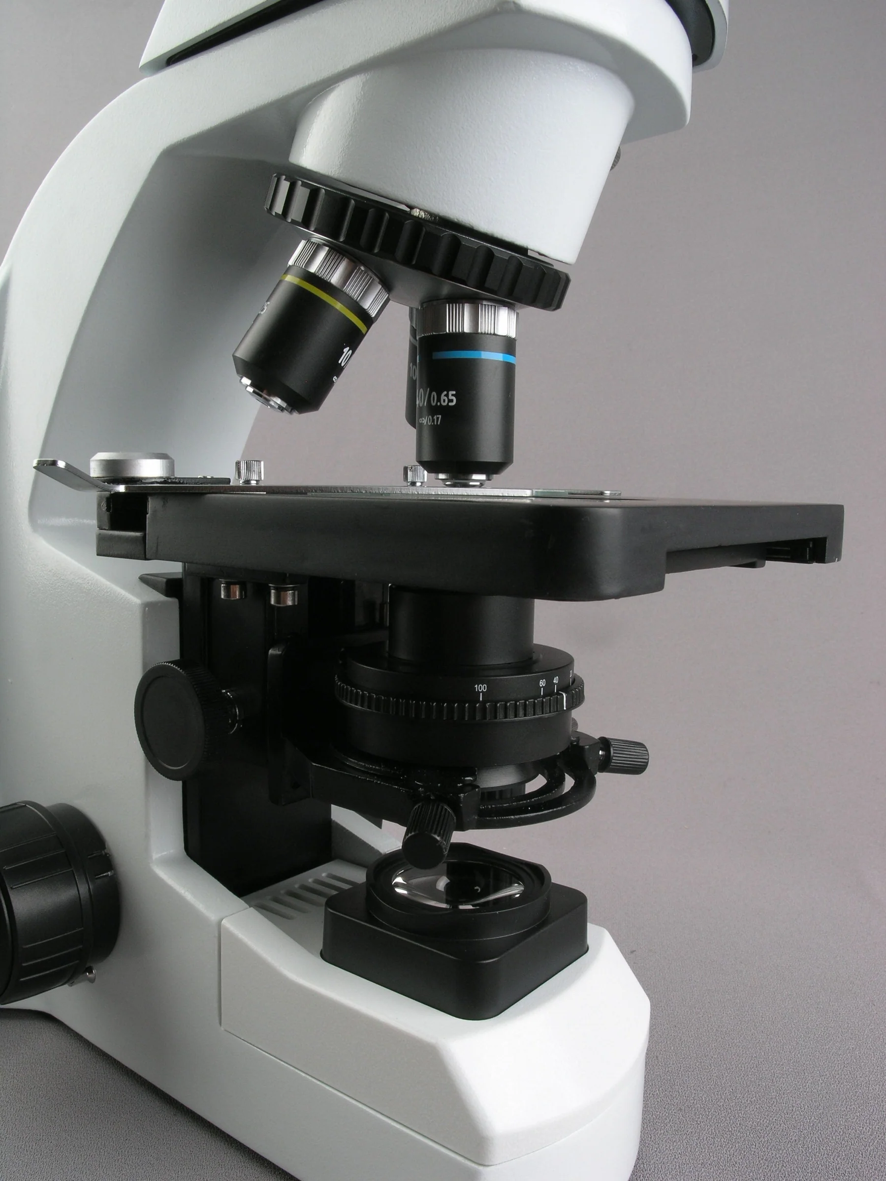 AmScope Infinity-Corrected Tri – обзор и цена Microscope Compound 40X