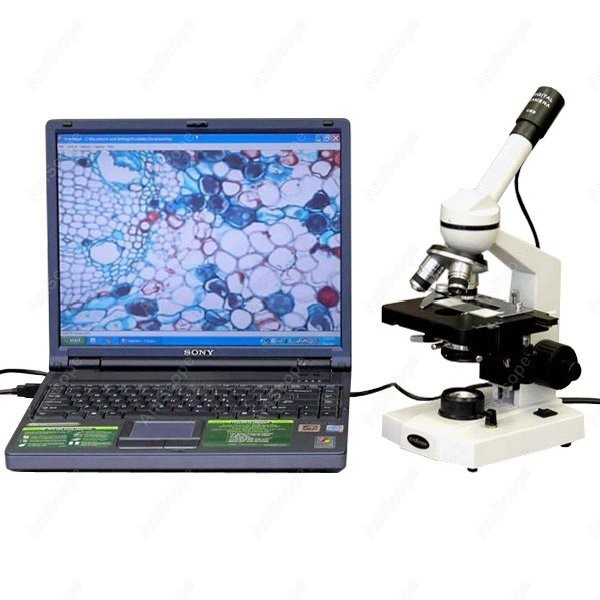 AmScope M600 Series Student Mo – обзор и цена Microscope Compound 40X