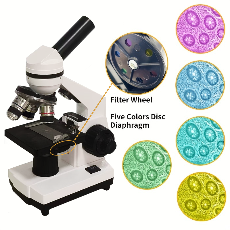 Portable Biological Optical Co – обзор и цена Microscope Compound 40X