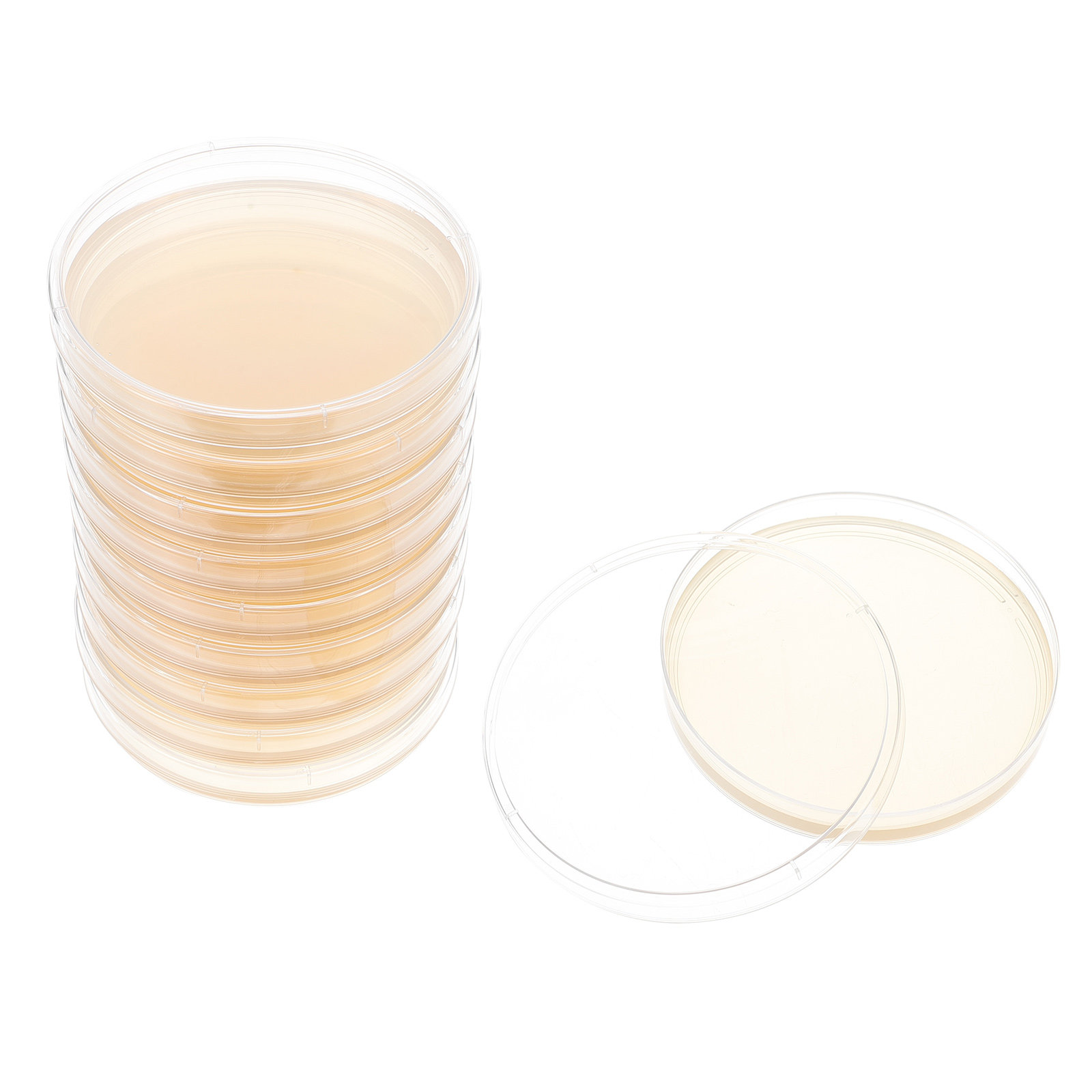 10pcs Nutrient Agar Plates Pre – обзор и цена Science Project