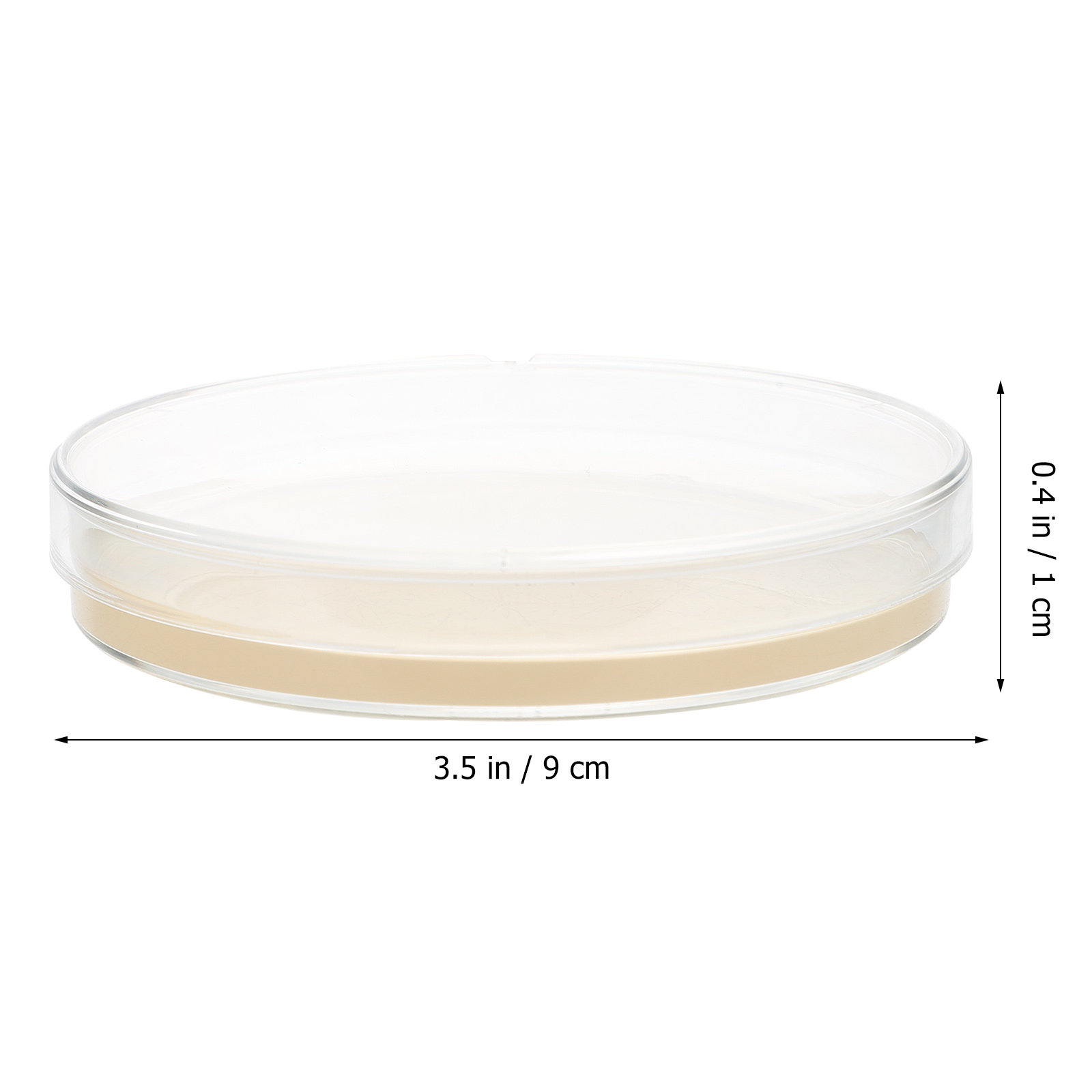 10pcs Nutrient Agar Plates Pre – обзор и цена Science Project