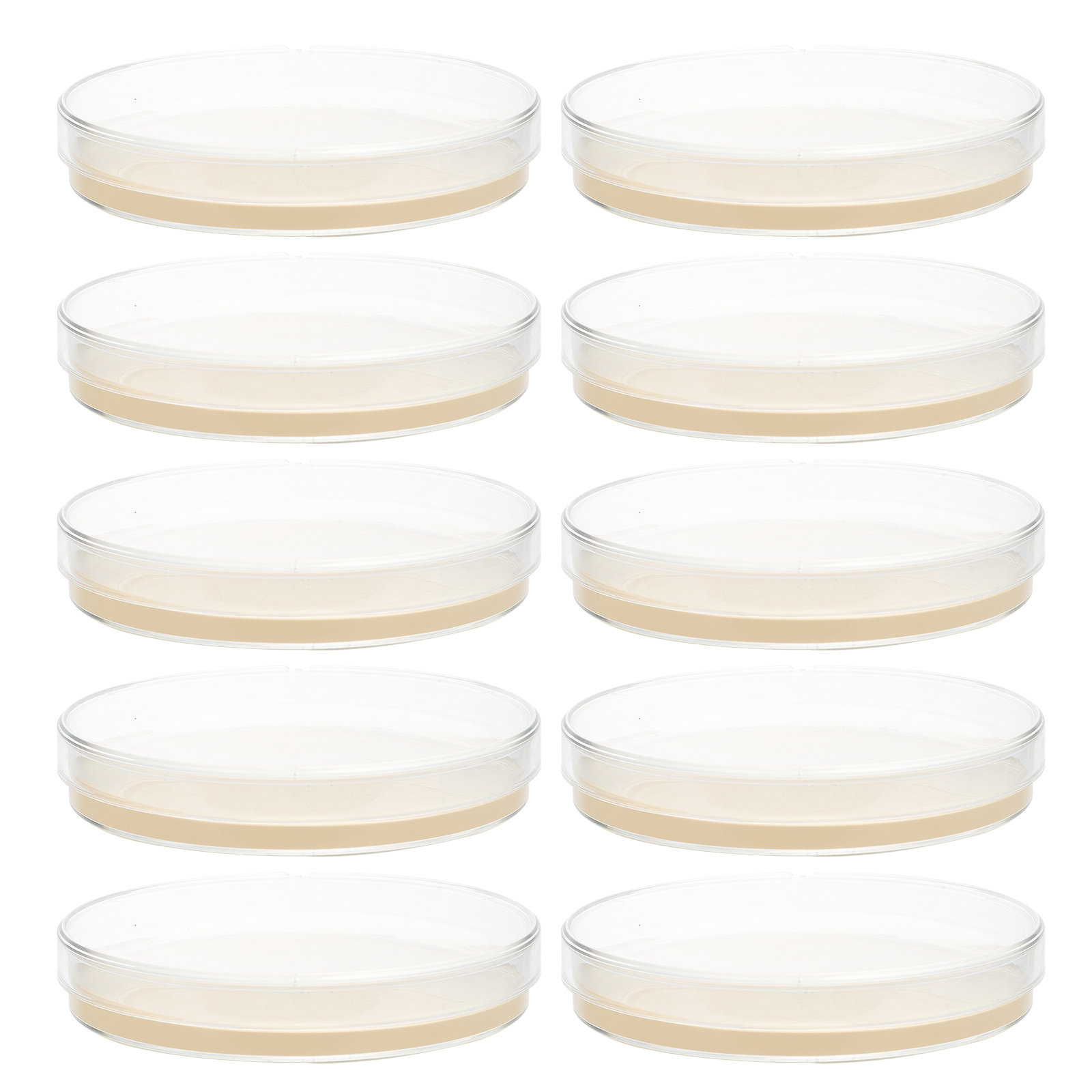 10pcs Nutrient Agar Plates Pre – обзор и цена Science Project