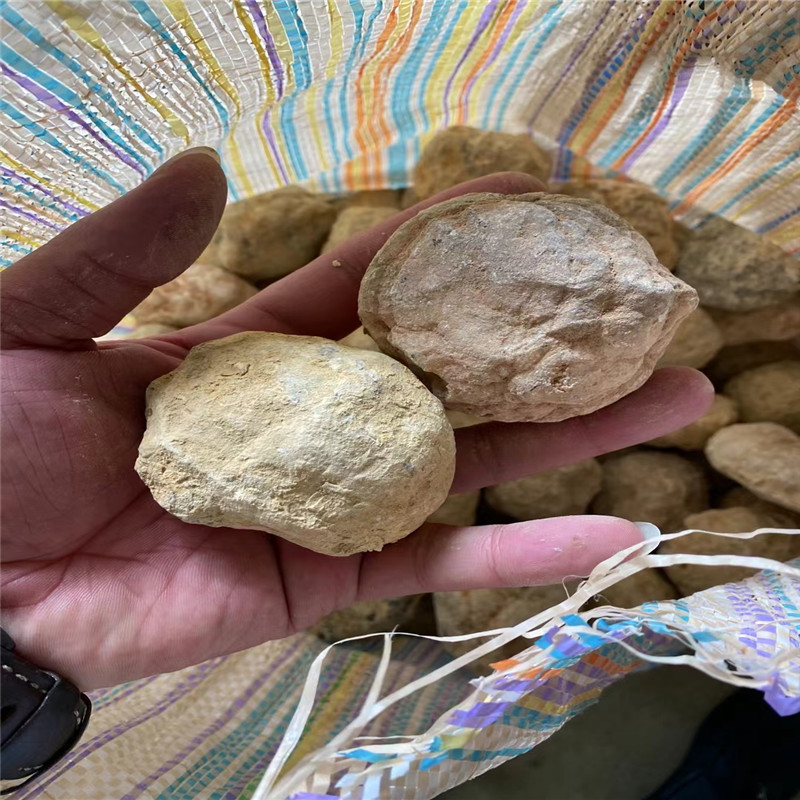 Break Your Own Geodes Natural  – обзор и цена Geode Crystal Break