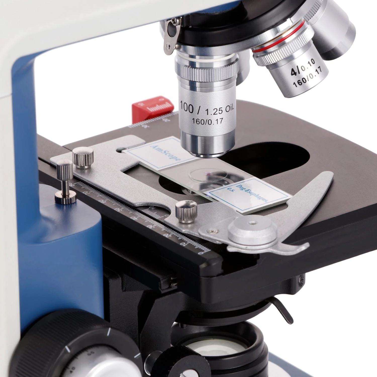 AmScope 40X-2500X USB-C Rechar – обзор и цена Microscope Compound 40X